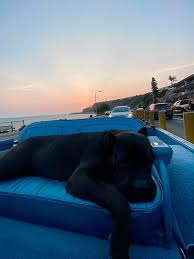 Check spelling or type a new query. Metcha 5 Cars Of Nba Players Who Enjoy Speed On And Off The Court