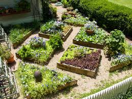 List of incompatible vegetable garden plants. Tips For A Raised Bed Vegetable Garden Hgtv