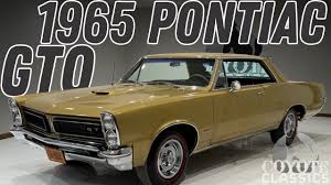 Image result for Tiger Gold 1965 GTO