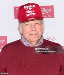 67 Capolino Stock Photos, High-Res Pictures, and Images