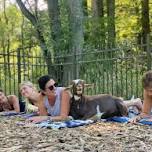 Goat Yoga & Goat Fun!