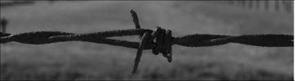 Image result for holocaust photos