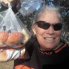 Alligator launching out of water at Myakka River State Park