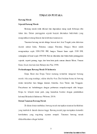 Dia sering membawakan makanan, membantu bawang putih membereskan rumah, atau hanya menemani bawang putih dan ayahnya ngobrol. Bahasa Inggris Drama Script Bawang Putih And Bawang Merah