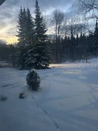 Sunrise, Prince George, B.C. Canada. -10 Celsius today! The wind makes it  feel a little colder lately.