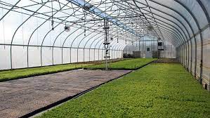 There are many creative homes that have been built from. How To Build A Greenhouse In 10 Easy Steps Rimol Greenhouses