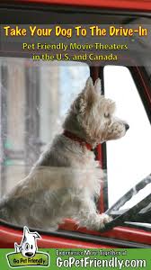 Which cameo vs chic challenge is your. Drive In Theaters Pet Friendly Movie Theaters In The U S And Canada