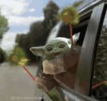 Crazy funny memes really funny memes the funny funny jokes hilarious yoda funny. Baby Yoda Gifs Tenor