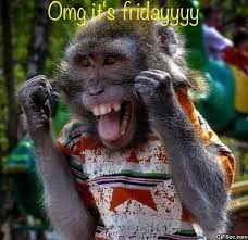 Who's a monkey's favourite hogwarts teacher? Pin On Funny Funny