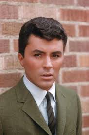 Discover 13 James "MoonDoggie" Darren and james darren ideas