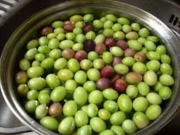 Mettiamo le olive in barattoli in vetro sterilizzati, eventualmente aggiungendo aromi, come alloro, pepe e peperoncino e poi versiamo la salamoia, facendo in modo che il liquido copra completamente il prodotto. Olive In Salamoia Forum Mrcarota It