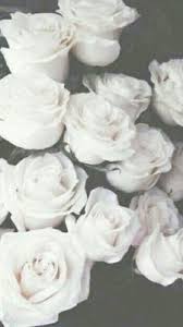 We hope you enjoy our growing collection of hd images to use as a. 34 Rose Wallpaper Ideas Rose Wallpaper Iphone Wallpaper Wallpaper
