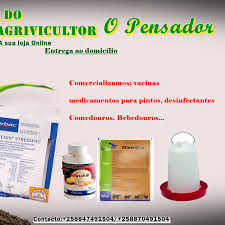 O Pensador Home Facebook