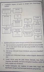 Saranailmu.com dalam hal ini akan menjelaskan mengenai apa itu pengertian kunci determinaasi, contoh kunci determinasi hewan, contoh kunci determinasi tumbuhan, cara menggunakan kunci determinasi, kunci dikotomi, kunci dikotomi tumbuhan dan hewan, contoh kunci determinasi sederhana tumbuhan. Buatlah Kunci Determinasi Dengan Melihat Diagram Dikotom Di Atas Masnurul