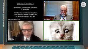 Check the zoom video options to be. Cat Filter Zoom Fail Lawyer Appears In Court As Talking Kitten