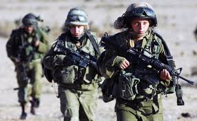 ^ דר אורן סופר, האנומליה של גלי צהל, האוניברסיטה הפתוחה. The Idf S Fighting Ethos In The Wake Of Operation Protective Edge The Israel Democracy Institute