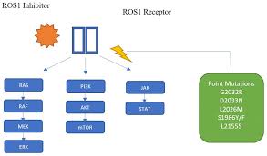 Image result for ROS1 Inhibitor