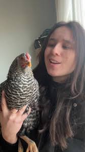Girl Talking to Chickens