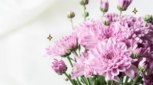 Contohnya, sebuket bunga mawar memiliki harga yang cukup mahal di toko bunga online namun harumnya tidak bertahan lama jika dibandingkan dengan bunga lain yang harganya lebih murah. Moms Suka Bunga Krisan Yuk Ikuti Cara Menanam Bunga Krisan Berikut Orami