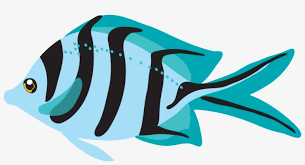 Keep an open mind, surprise clipart. Fishing Clipart Watercolor Tropical Fish Clipart Transparent Png 957x473 Free Download On Nicepng