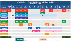 En españa, el numero de muertes directas supera ya los 53 000 fallecidos, sin contar las muertes el gobierno de españa ha publicado la lista con el orden de vacunación en función del grupo social y. Calendario Vacunal De Andalucia 2020 Recomendado Para Todas Las Edades Picuida