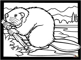 The free coloring sheets can be used by educators or simply by children who love beavers. Canadian Beaver Coloring Page Free Printable Coloring Pages Animal Coloring Pages Coloring Pages Free Coloring Pages