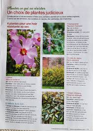 epingle par jocelyne detante sur jardin plante haie plante armoise