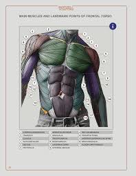 Store Softcover Pdf Anatomy Drawing Drawing Reference Figure Drawing Reference