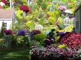 Pin On Chrissie D Esopo S Garden