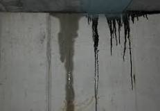 What is the best way to seal basement walls?