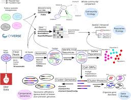 By eltie orleanposted on march 7, 2021. Ivirus Facilitating New Insights In Viral Ecology With Software And Community Data Sets Imbedded In A Cyberinfrastructure The Isme Journal