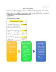 Mi 2 1 2 Pcr Flowchart Maizey Benner 2 1 2 Pcr Flowchart 2