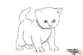 That painted kitten doesn't look like a kitten? How To Draw A Kitten Step By Step Drawingnow
