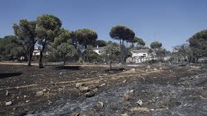 El fuego en Madrid deja 20.262 confinados: “Tenemos que estar en casa y salir lo menos posible por prevención”