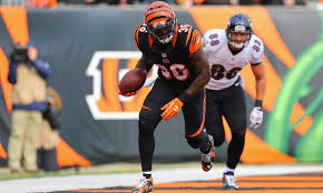 Bengals Depth Chart Outlook Safety
