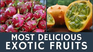 Fruits are straightforward to search out anywhere, even young folks will grow their own. Delicious Exotic Fruits To Try Top 10 Tips For Tourists Youtube