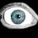 Maybe you would like to learn more about one of these? Verified Actual Gamer Program Information General Discussion Linus Tech Tips