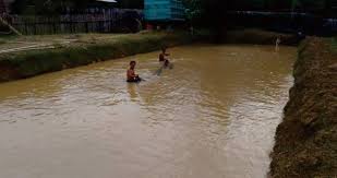 Cara Menentukan Ukuran Kolam Gurame 1000 Ekor