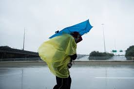 73,806 likes · 233 talking about this. Vijf Vragen Over Storm Harvey De Morgen