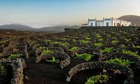 The canary islands join a growing list of destinations wooing 'digital nomads' to help replace business lost to the pandemic. Wines Of The Canary Islands Wines Of The Times The New York Times