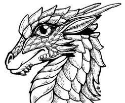 Drachen Und Andere Fabelwesen Bilder Zum Ausdrucken Dragon Sketch Dragon Illustration Animal Drawings