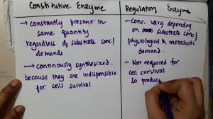 Constitutive O Mutations