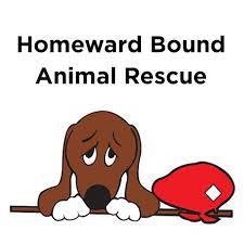 Maybe you would like to learn more about one of these? Homewardbound Animalrescue Home Facebook