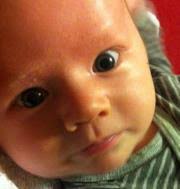 Red Hot Lovers by Milly Taiden