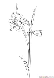 How To Draw A Daffodil Flower Step By Step Drawing Tutorials Flower Sketch Pencil Flower Drawing Tutorials Flower Sketches