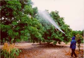 4 Read About Improving Soil Fertility Gibneyce Com