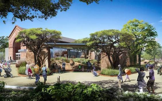 Lincoln Park Zoo Unveils Plans for New $35 Million Lion House | Chicago  News | WTTW