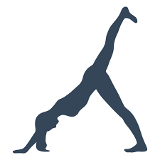 Free for commercial use no attribution required high quality images. Yoga Pose Silhouette Fitness Transparenter Png Und Svg Vektor