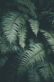 We did not find results for: Cool Wallpapers On Tumblr