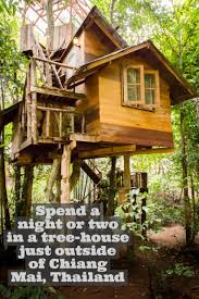 Treehouses For Grown Ups Tree House Luxury Tree Houses Tree House Designs